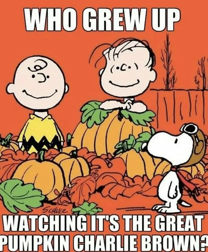 Charlie Brown and Snoopy in a pumpkin patch scene from a classic 80s cartoon beloved by those who grew up.