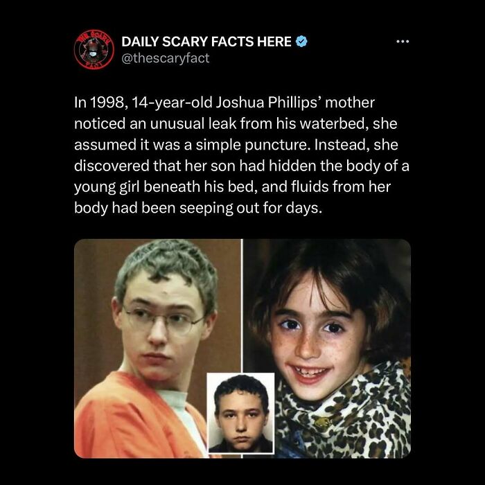 Tweet from Daily Scary Facts revealing a chilling story involving a hidden body, highlighting dark scary facts to scroll through.
