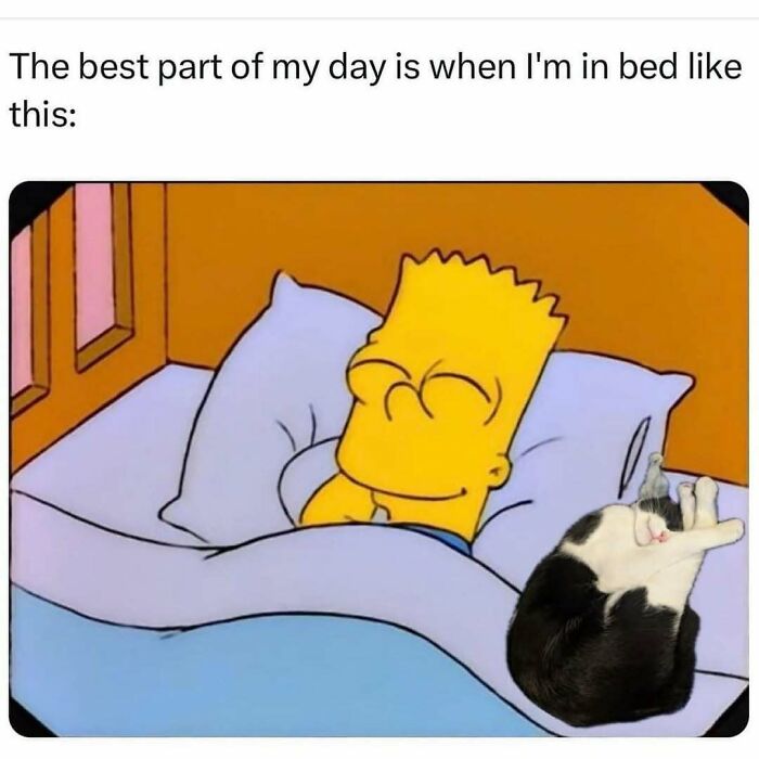 Bart Simpson smiling peacefully in bed with a cat, illustrating funny memes about not taking life too seriously.