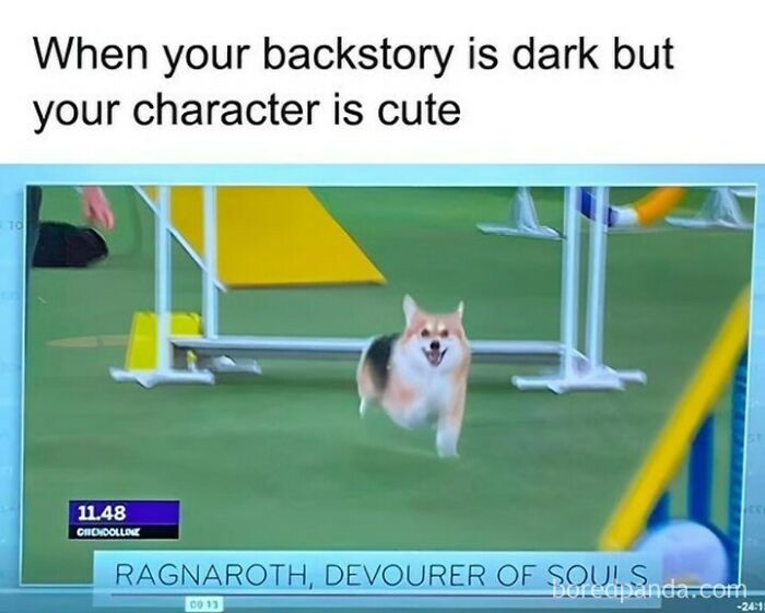 A happy dog running in an agility course representing a hilariously relatable meme about casual nihilism.
