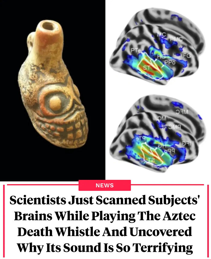 Aztec death whistle artifact and brain scans revealing why its terrifying sound affects the brain, interesting facts revealed.