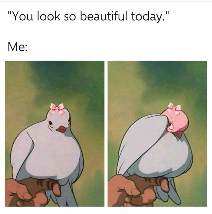 A humorous meme with a bird wearing a pink bow reacting shyly, illustrating funny memes about not taking life seriously.