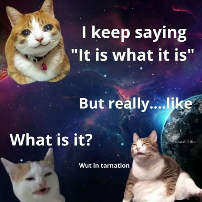Three cats with humorous expressions over a space background featuring a relatable casual nihilism meme about the phrase it is what it is.