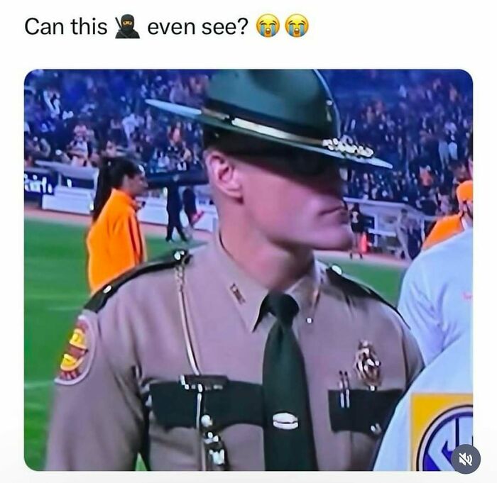 Police officer at a crowded event wearing a wide-brimmed hat pulled down over his eyes in a chaotic meme.