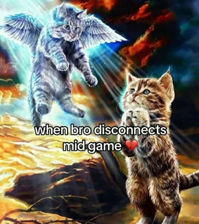 Nerdy and weird memes showing a kitten praying while an angel cat descends with light beams in a dramatic sky background.