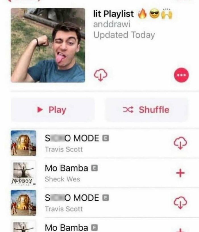 Screenshot of a music playlist featuring repeated songs, showcasing a nerdy and very weird meme about playlist choices.