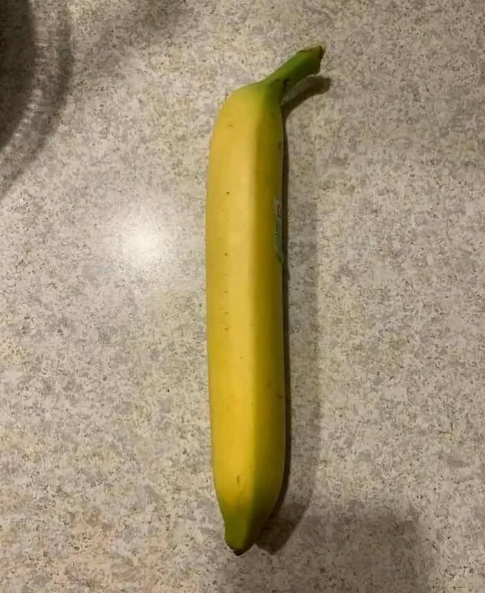 Unusually long banana on a countertop, a strange and puzzling image from the collection of pics that make no sense.