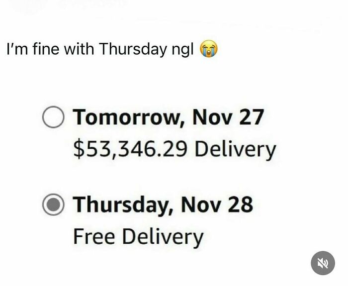 Screenshot of a chaotic meme showing a delivery choice between expensive and free with a crying emoji in a random meme style.