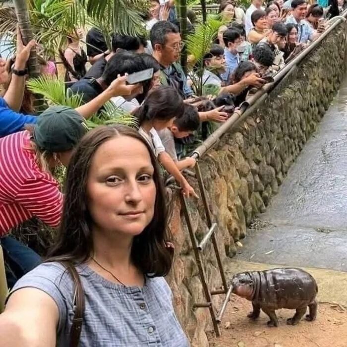 Woman taking a selfie with a tiny hippo while a crowd watches over a stone wall in a bizarre yet fascinating scene.