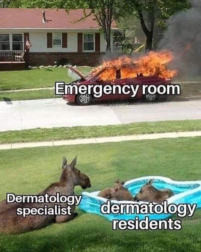 Burning car labeled Emergency room, with a moose labeled Dermatology specialist watching moose calves in a pool labeled dermatology residents.