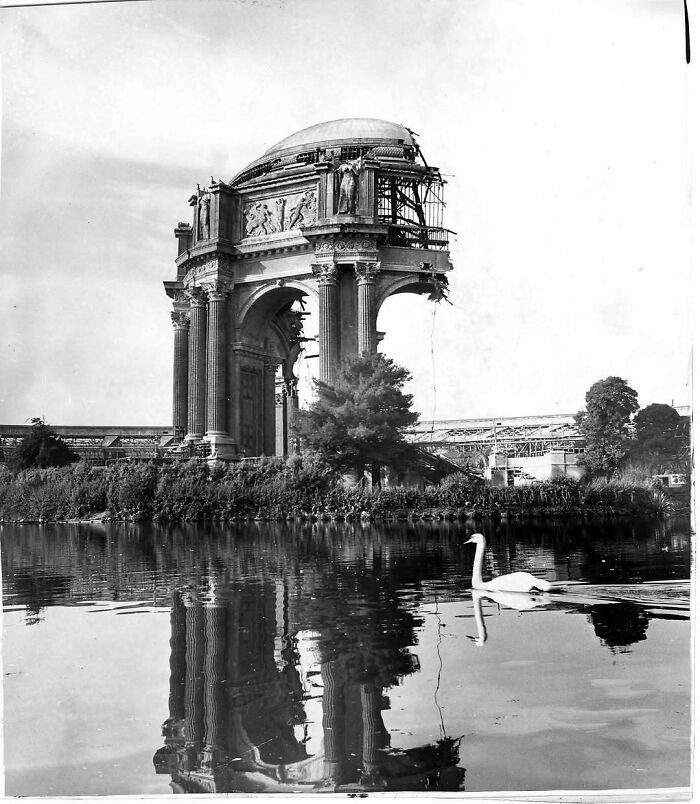 Black and white photo of old architecture showing a classical arch structure reflected in calm water with a swan swimming nearby.
