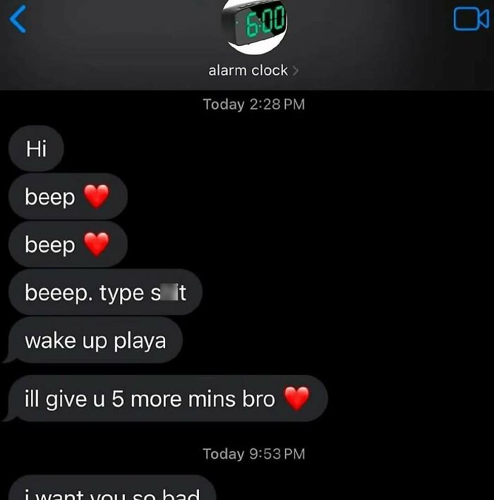 Screenshot of a nerdy and weird meme showing a text alarm clock conversation with playful and humorous messages.