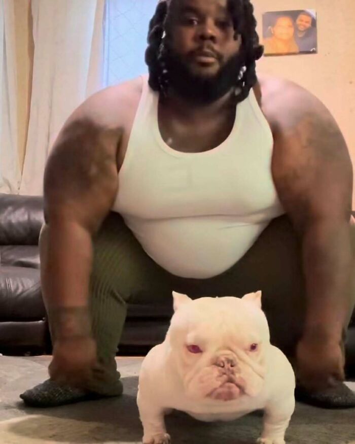 Man and bulldog pose low to the ground, creating a humorous visual effect for nonsensical pics.