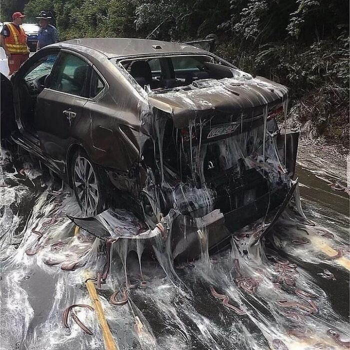 Severely damaged car covered in a melting substance on road with unusual slimy texture and strange debris around.