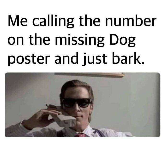 Man wearing sunglasses holding a phone with text about calling the missing dog number and barking funny chaotic memes.