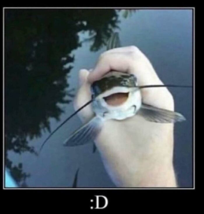Hand holding a smiling fish with whiskers over water, a humorous image fitting nerdy and weird memes theme.