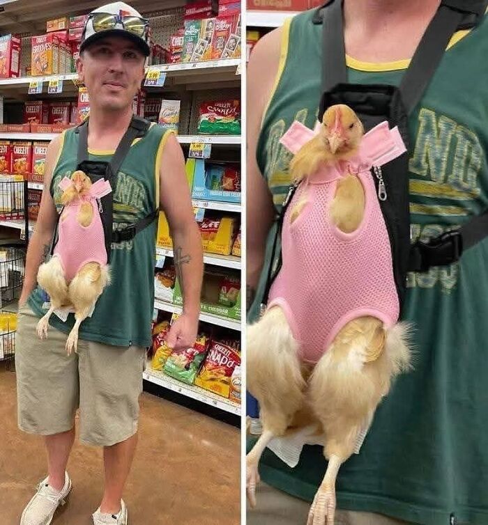Man wearing a chicken in a pink outfit carrier in a grocery store, one of the unusual pics that make no sense at all.