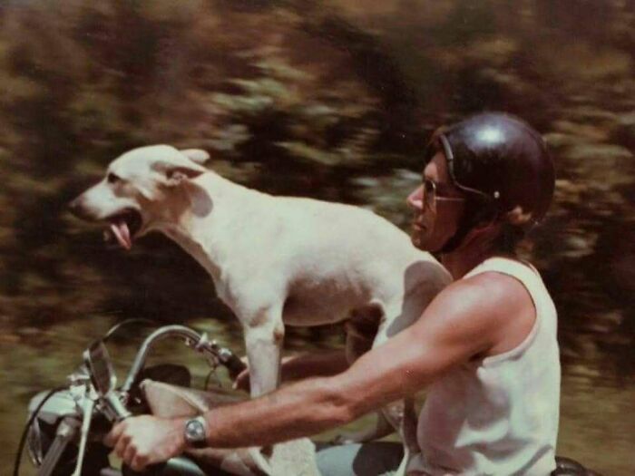 Man wearing helmet riding motorcycle with his dog standing on the handlebars in a vintage old school cool style.