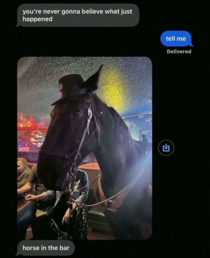 Text message exchange showing a horse inside a bar, an unexpected scene that fits the no sense but captivating pics keyword.