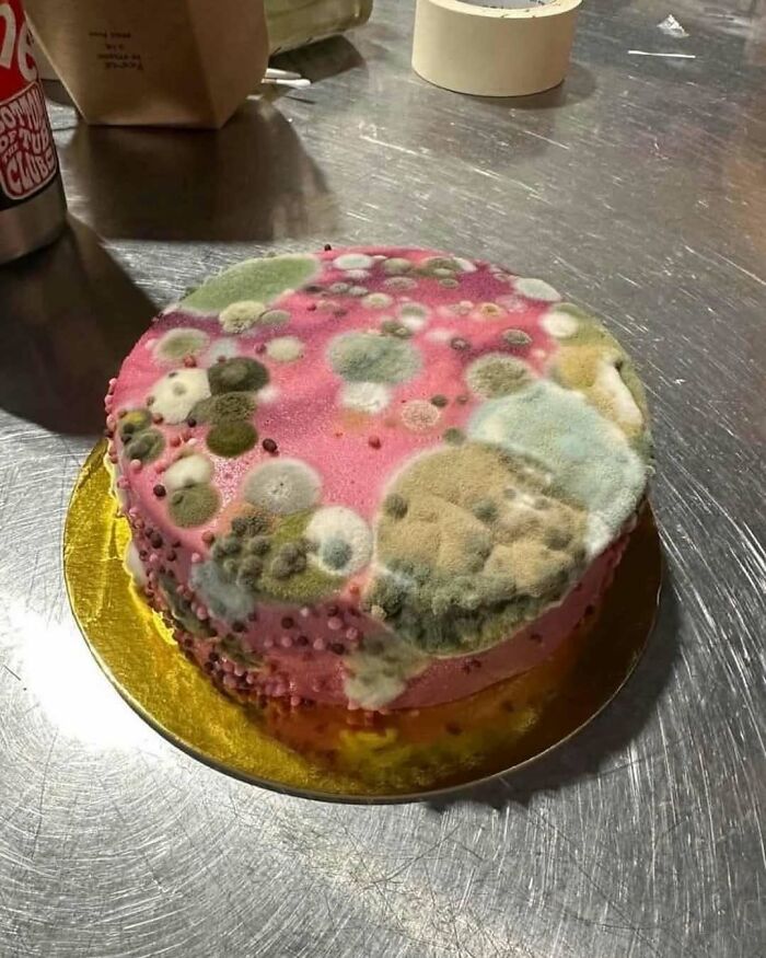 Pink cake covered in colorful mold spots on a metallic surface, a bizarre picture that makes no sense but captivates viewers.