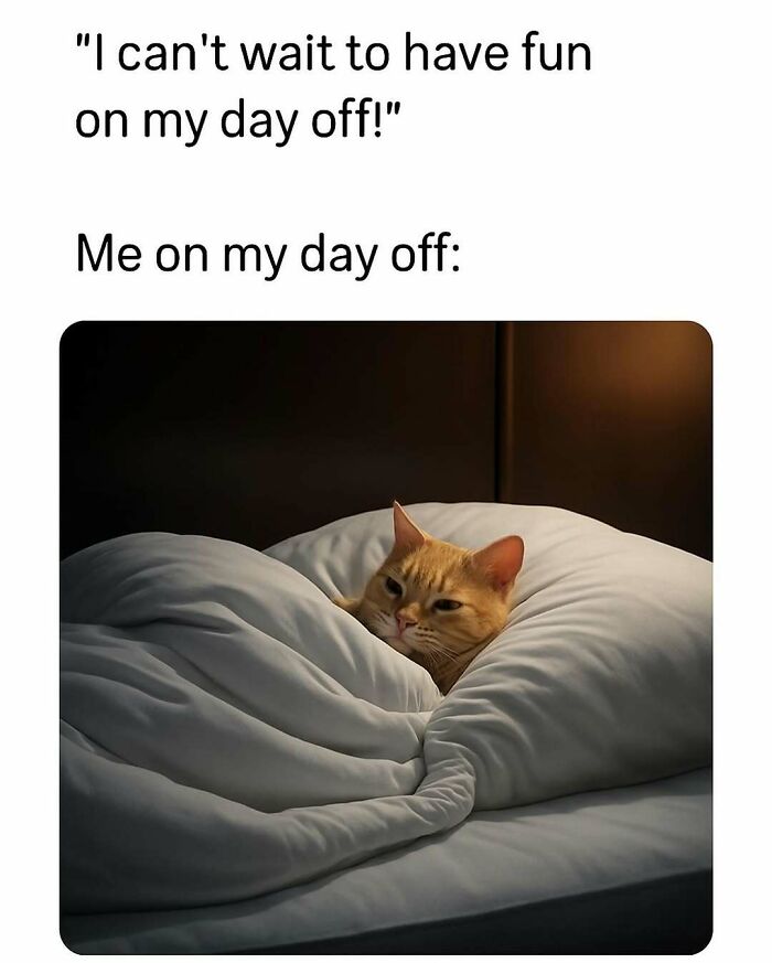 Funny animal meme showing a cat tucked in bed, illustrating a lazy day off with pure and relatable humor.