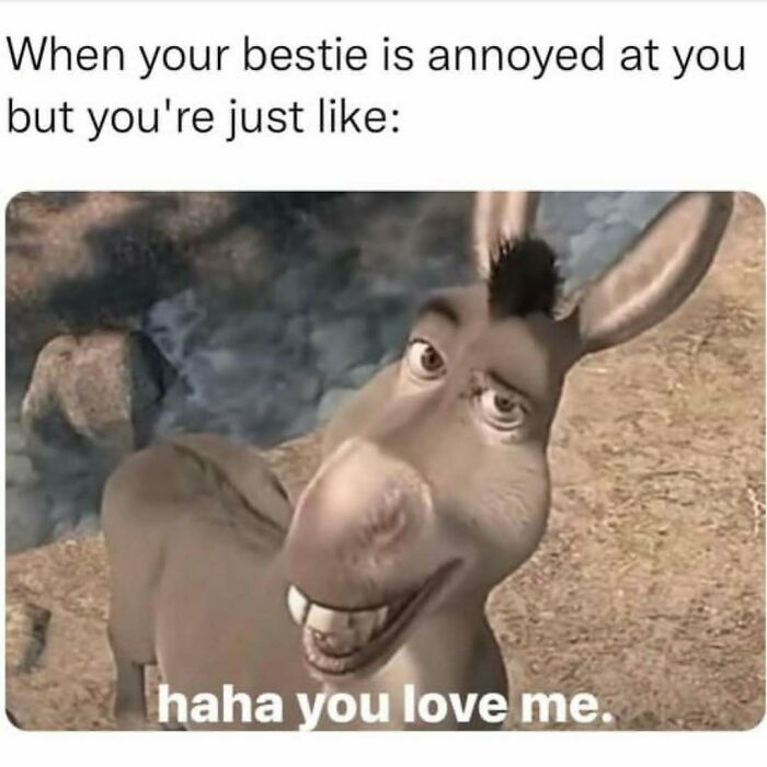Animated donkey with a cheeky smile and text about a bestie being annoyed, highlighting funny memes about not taking life seriously.