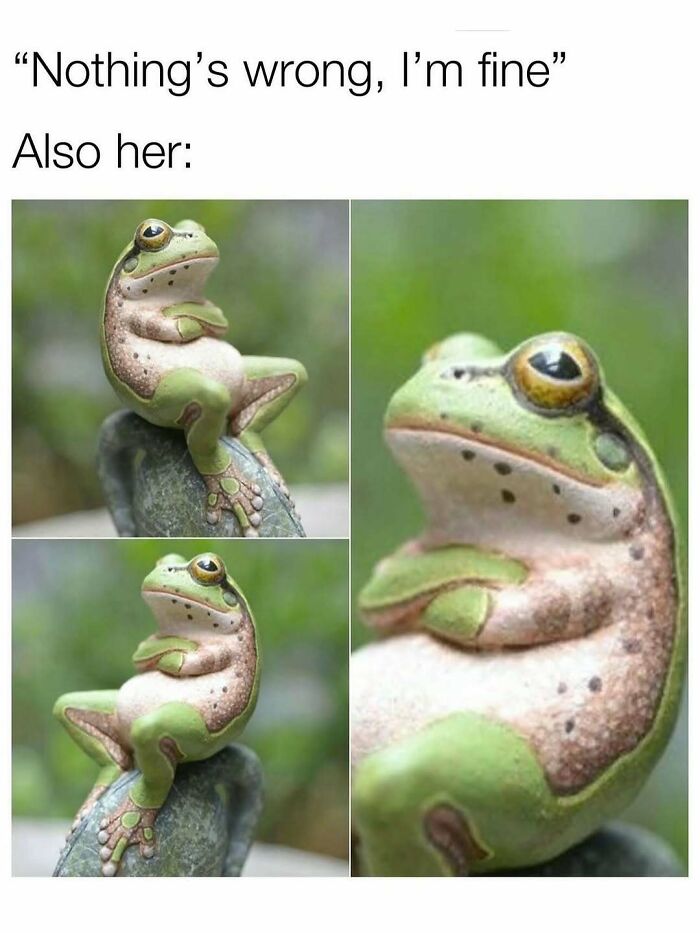 Funny animal memes featuring a relaxed frog figurine with arms crossed, capturing pure and amusing moments.