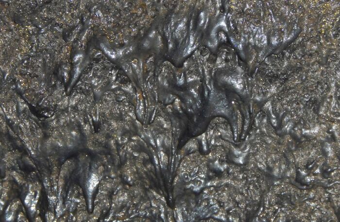 Hint: It's All Natural