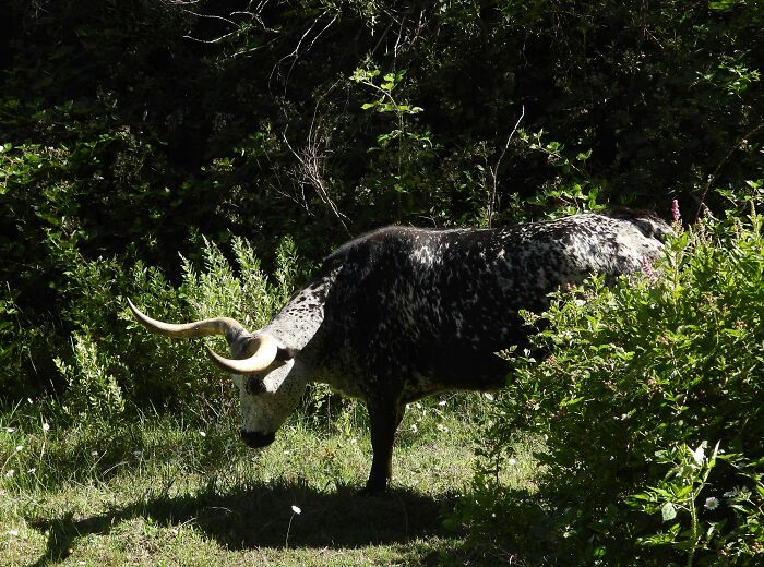 Just Because It Was Interesting, I Took A Photo, And This Is The Very Last Photo On My Sc Card