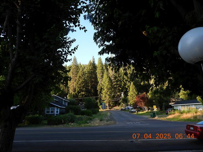 My Windows Are Too Dirty To Photograph Through. But This Is The General View, From The Foot Of My Apartment Stairs