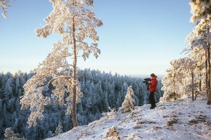 Person in a red jacket filming snowy pine trees in the woods, capturing serene cabin in the woods nature scene. - 4