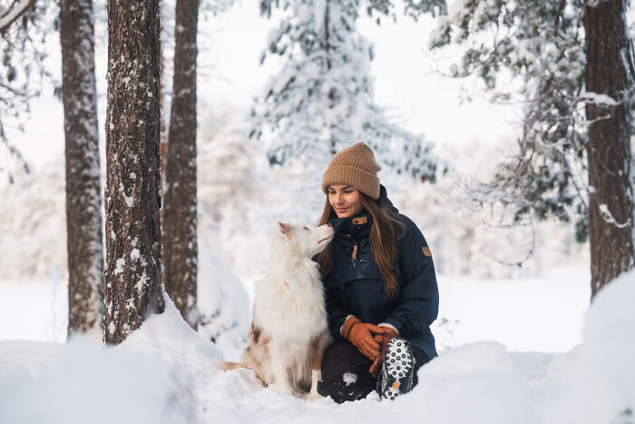 Woman enjoying snowy woods with her dog near cabin, embracing peaceful cabin in the woods lifestyle and true home feeling - 1
