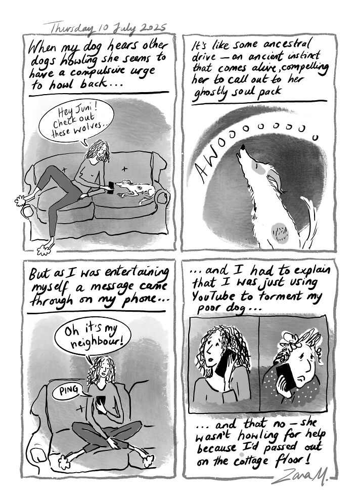 Funny Things Dogs Do