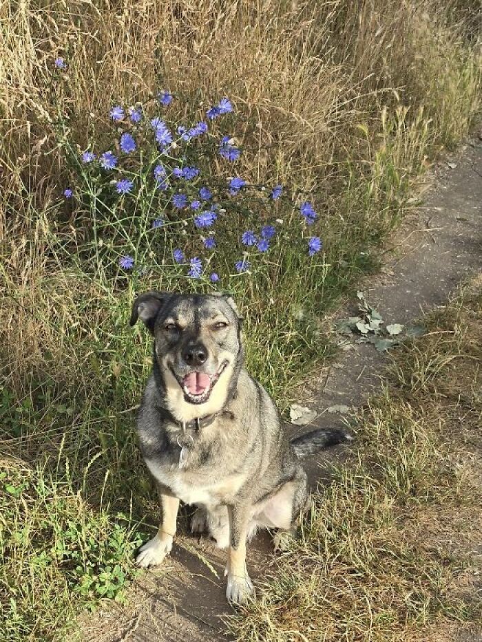 How Can He Be So Happy At 6am?