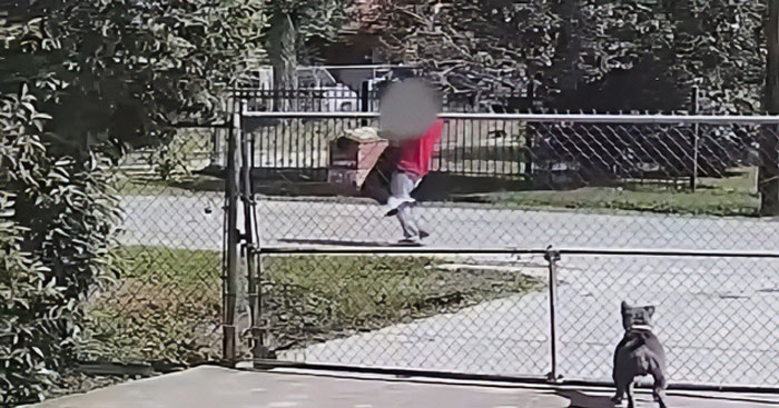 A blurred figure in a red shirt is being dragged near a fence, capturing trafficking victim distress in outdoor footage. A blurred figure in a red shirt is being dragged near a fence, capturing trafficking victim distress in outdoor footage.