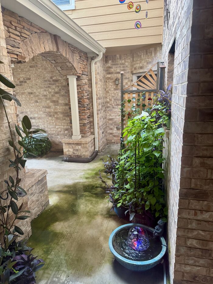 Independence Day Rain On My Veranda Means No Fireworks And That Means Happy Cats!