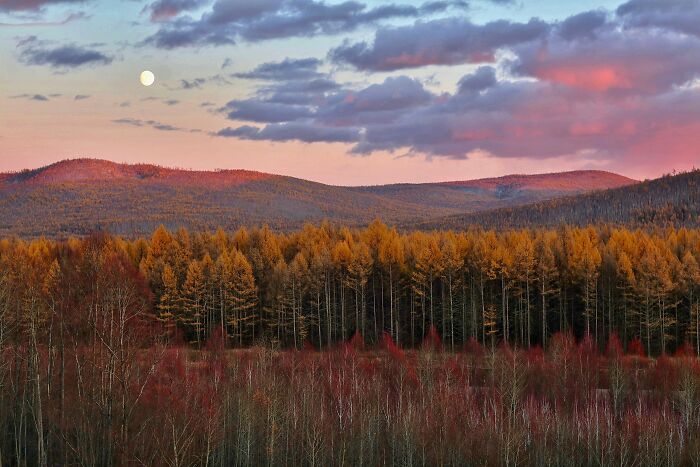 Scenic forest landscape at sunset with colorful trees and mountains, highlighting nature affected by catastrophic wildfires.