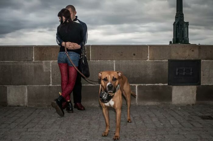 Couple embracing by stone wall as street photographer captures serendipitous everyday life moment with dog in foreground.