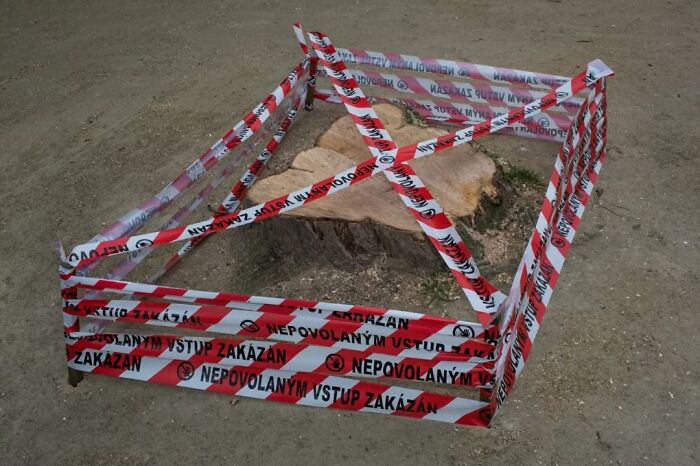 Tree stump cordoned off with red and white caution tape, a street photographer capturing serendipitous moments in everyday life.