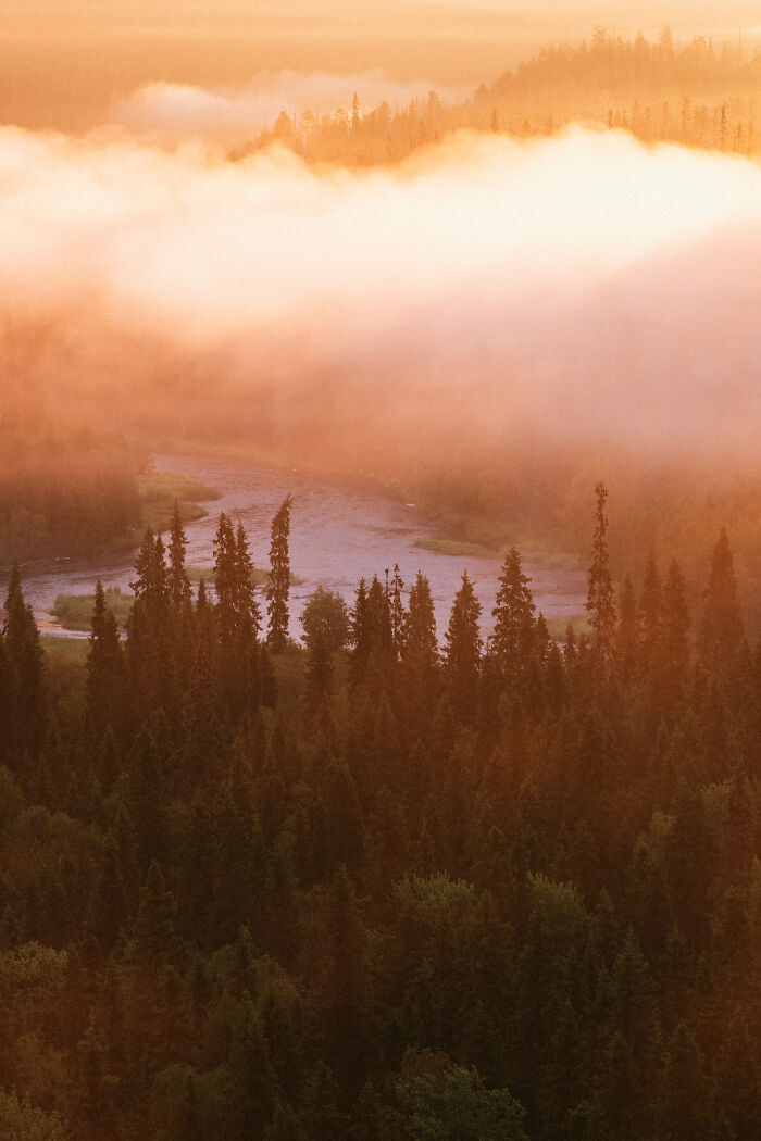 Golden mist over a dense forest and river, capturing the serene cabin in the woods and nature’s true home ambiance. - 6