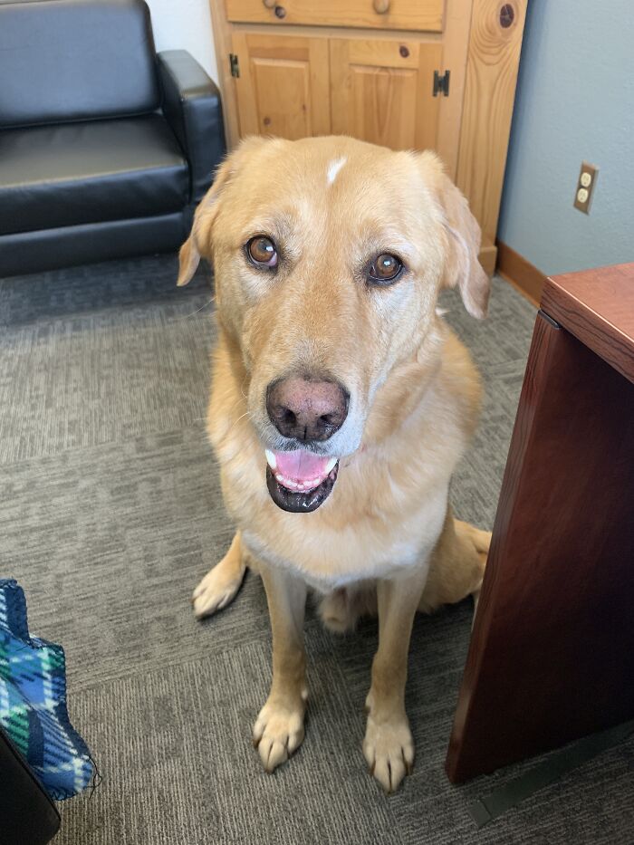 Bring The Kids To Work Day