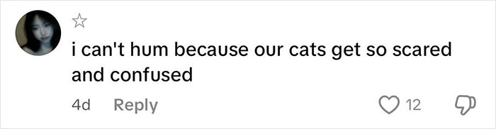 User comment about cats getting scared due to humming, illustrating weird habits that might improve mental and physical health.