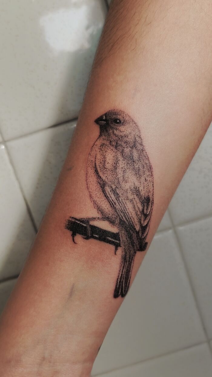 Realistic bird tattoo on forearm, detailed black ink design, one of the best tattoos trending for likes.