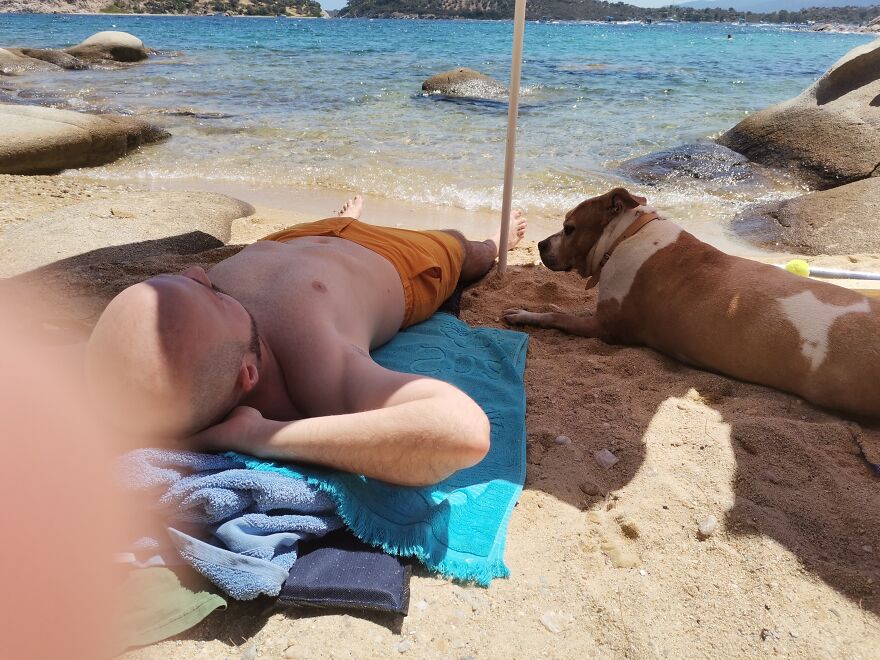 Everything I Know About Love, I Learned From My Dog