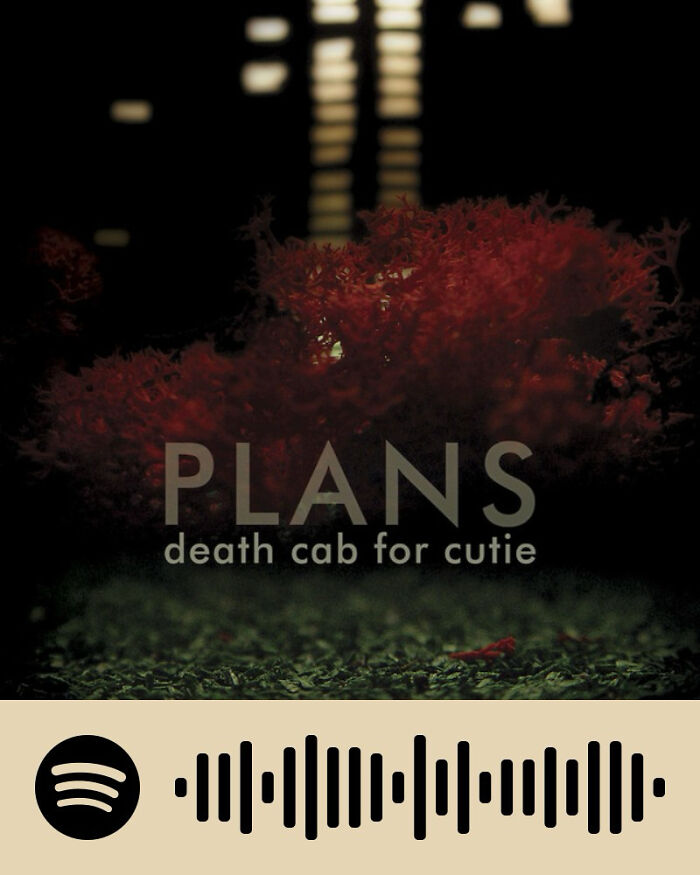 Album cover for the song Plans by Death Cab for Cutie, featured in songs that hurt so good listened by netizens.