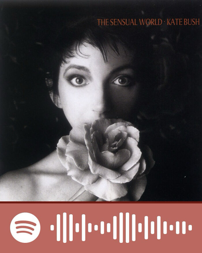 Black and white album cover of Kate Bush holding a rose, related to songs that hurt so good listened by netizens.
