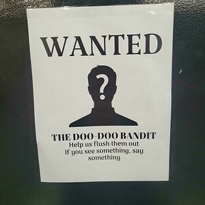 mohammadzaeemmsamimnazari avatar