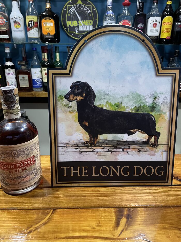 Daschund - The Long Dog