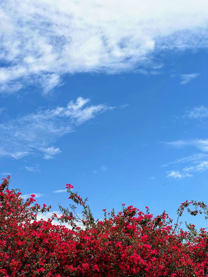 In A Restaurant Parking Lot