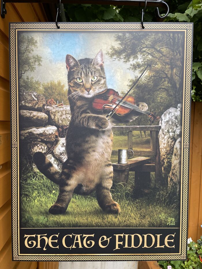 A Celtic Cat Playing A Tune